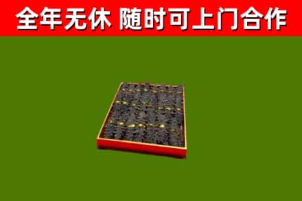 东方回收海参